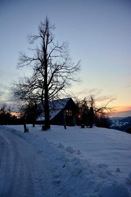 Apartments Gatej Cerkno Exterior foto